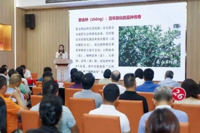 南方农村报《陈皮新说》栏目主持人李维康上台深入介绍中国陈皮产业情况及新会陈皮的道地特性。
