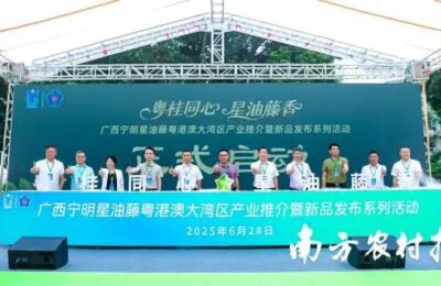 与会嘉宾共同启动本次活动。