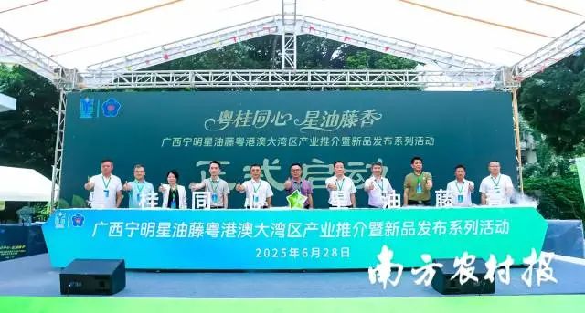 与会嘉宾共同启动本次活动。 与会嘉宾共同启动本次活动。